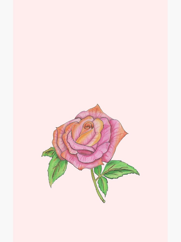 Colorful Rose by Osrandil