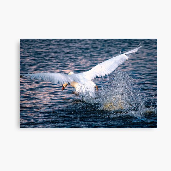 Item preview, On the wing designed and sold by THHoang.