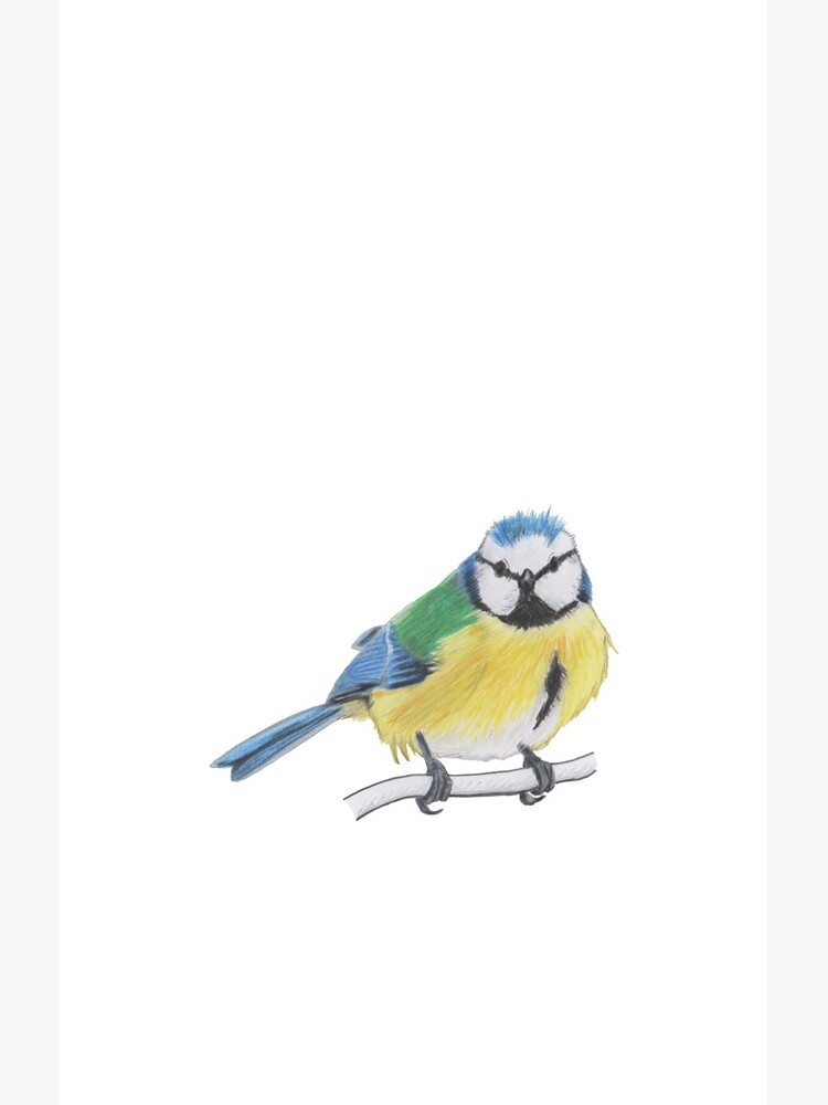 Bluetit 2/4 by Osrandil