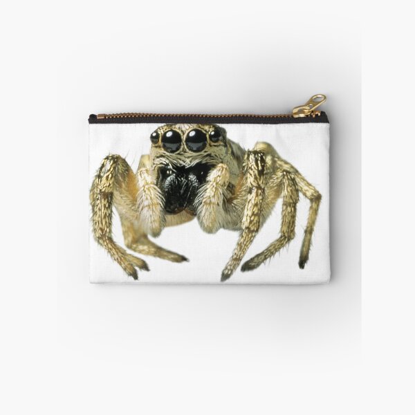 Item preview, Peacock spider dancing 3 designed and sold by Kfbmech.