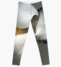 pollen Leggings