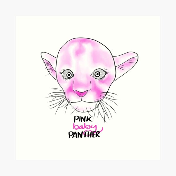 How to Draw Pink Panther, Cats and Kittens