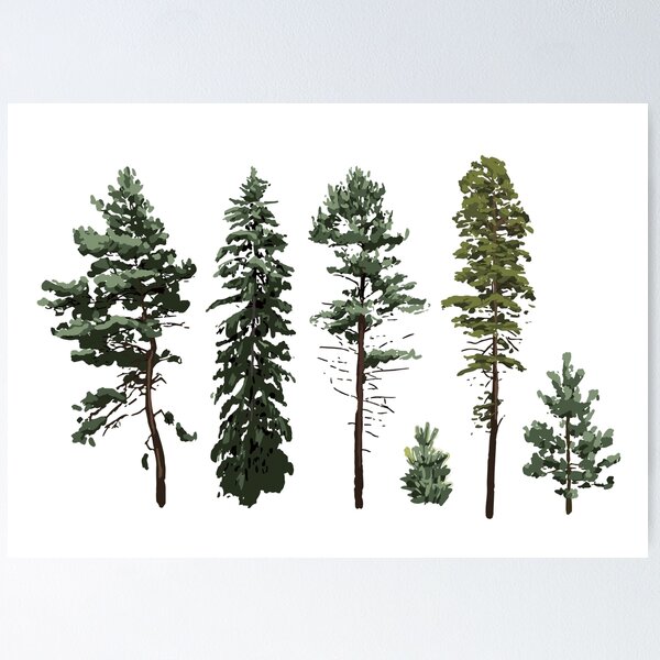 Item preview, Сoniferous trees designed and sold by Ekaterina Glazkova.