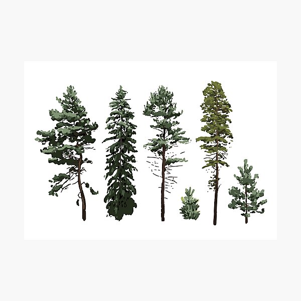 Item preview, Сoniferous trees designed and sold by Ekaterina Glazkova.