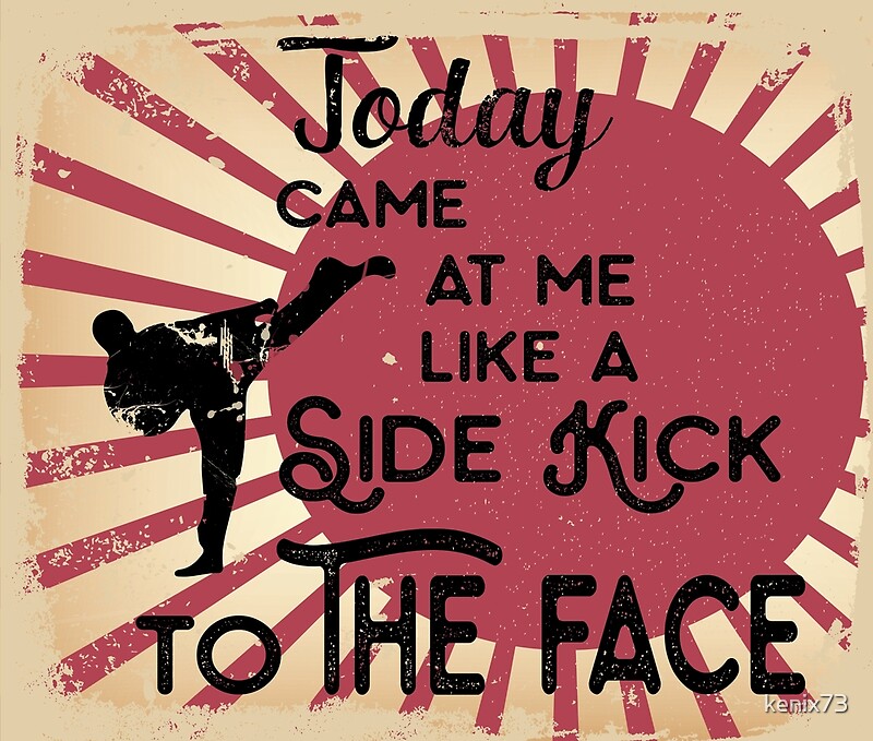 "Kick To the Face Funny Martial Arts" by kenix73 Redbubble