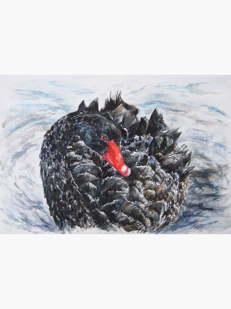 Thumbnail 7 of 7, Framed Art Print, Black Swan designed and sold by Anthropolog.