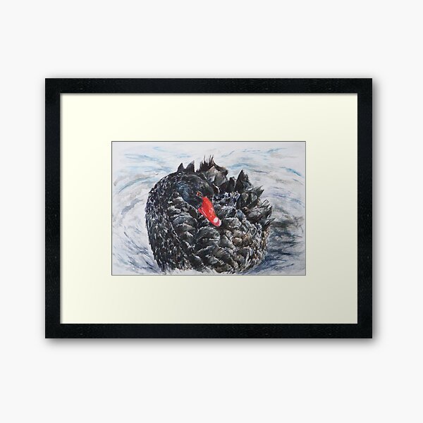 Black Swan Framed Art Print
