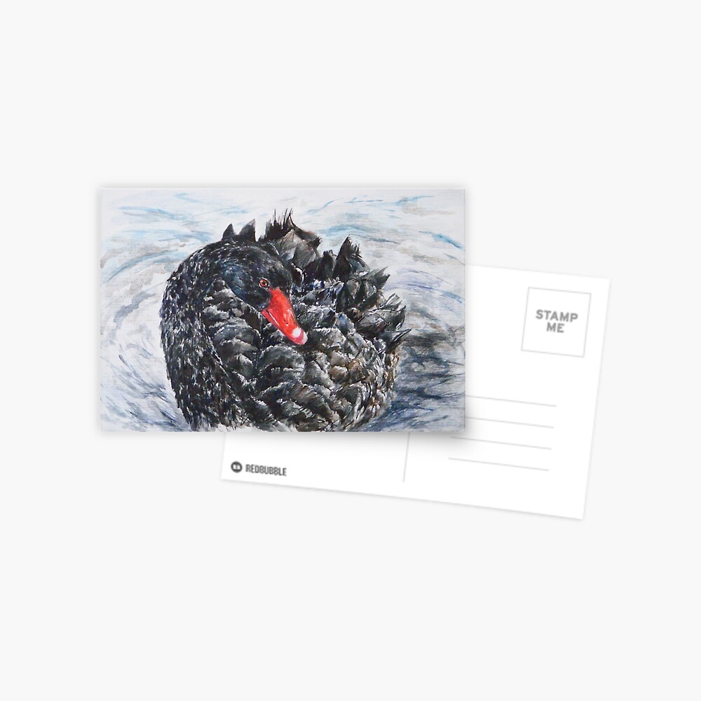 Item preview, Postcard designed and sold by Anthropolog.