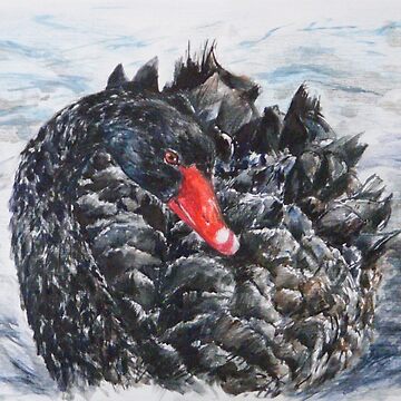 Artwork thumbnail, Black Swan by Anthropolog