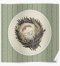 Sleeping Salix Poster