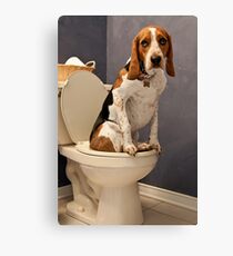 A little privacy please Canvas Print