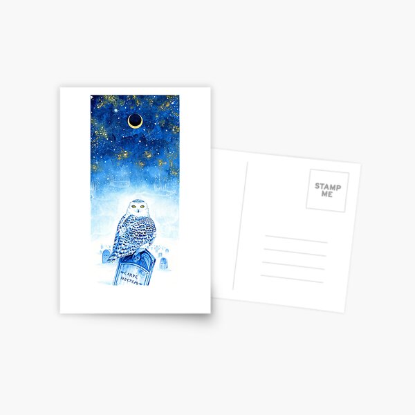 Carpe Noctem Postcard