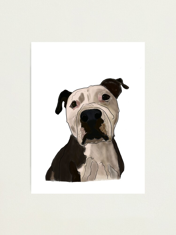 Lamina Fotografica Dibujo De Pitbull Negro Marron Y Blanco De Dailek Redbubble