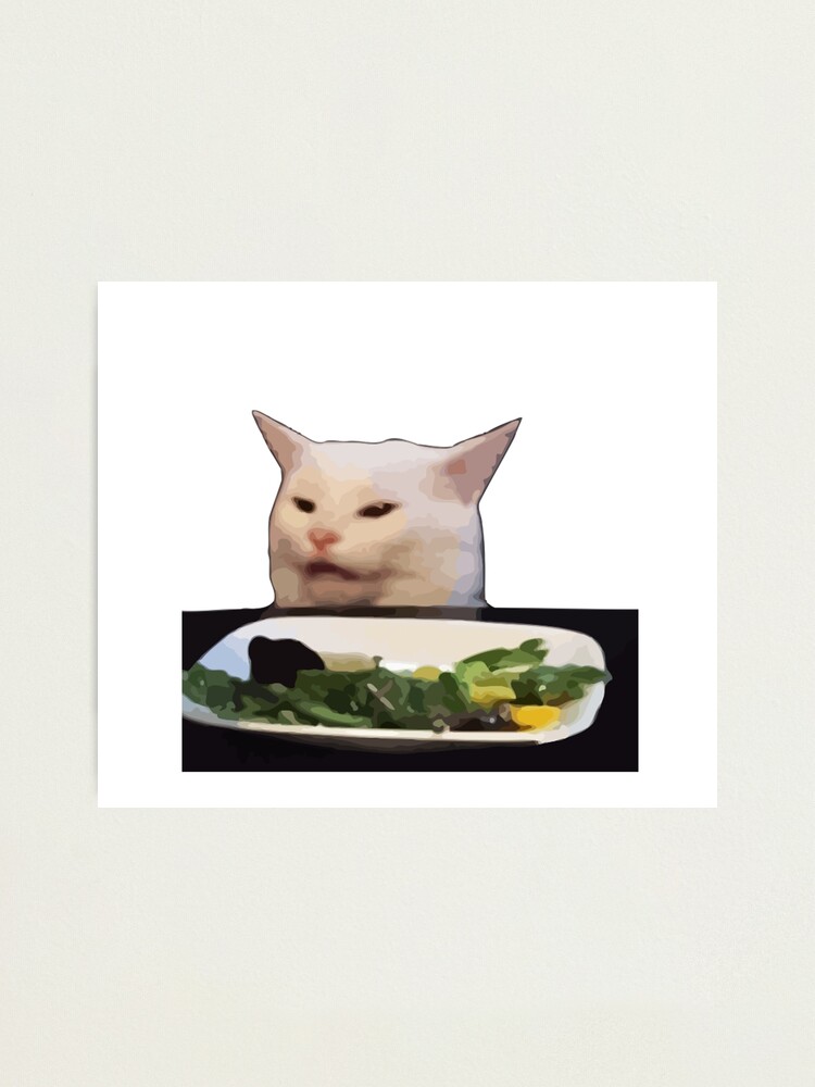 Salad Cat Meme Photographic Print By Xcxeon Redbubble