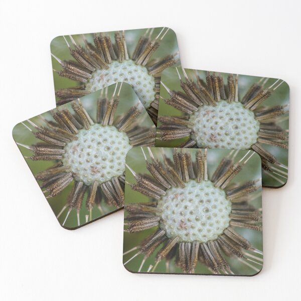 Item preview, Dandelion Clock designed and sold by Adrian Rowley.