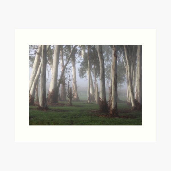 Item preview, ~ Gums in the Mist ~ designed and sold by LeeoPhotography.