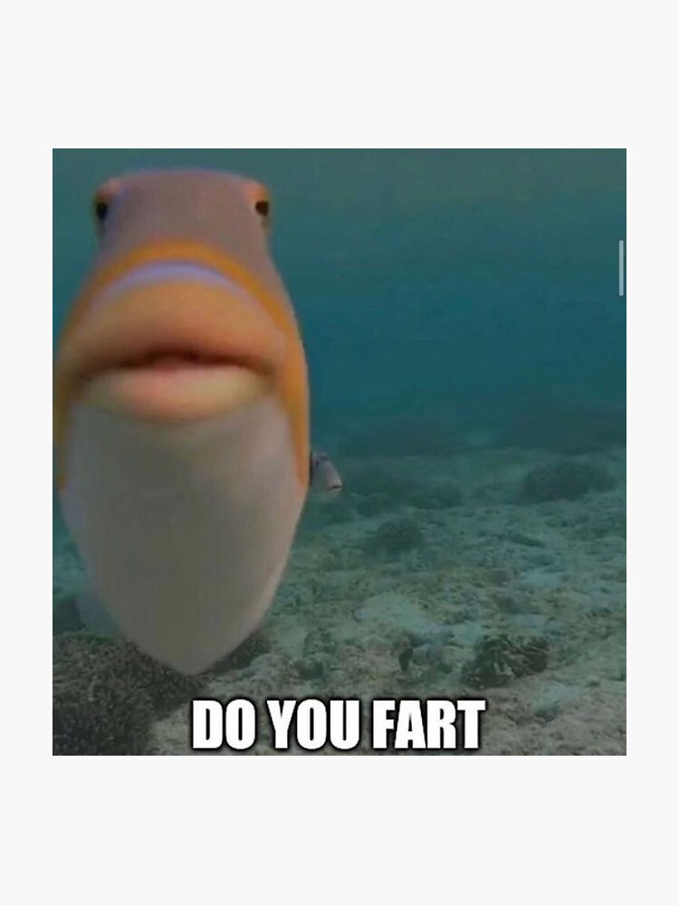 "Do You Fart" Sticker for Sale by Existimatio Redbubble