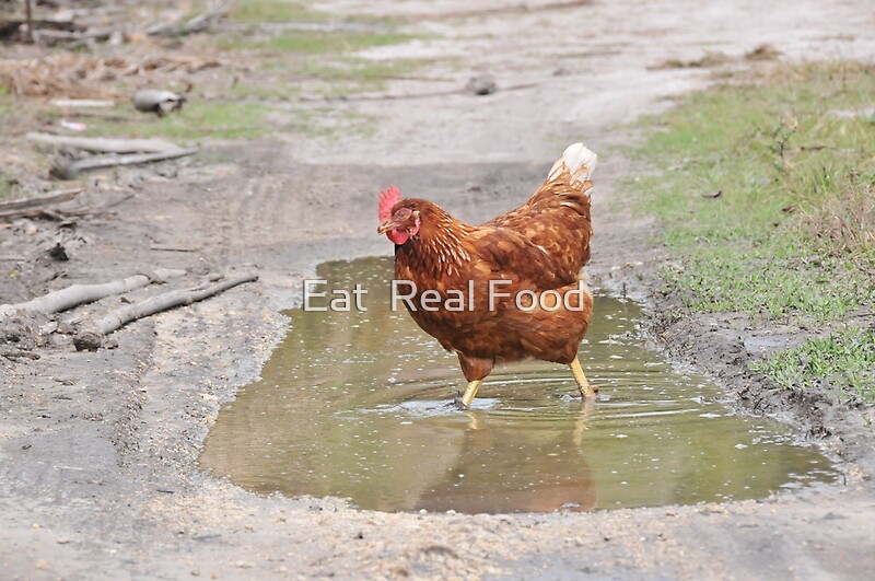 "Coconut Fields Forever Chickens" by Eat Real Food Redbubble