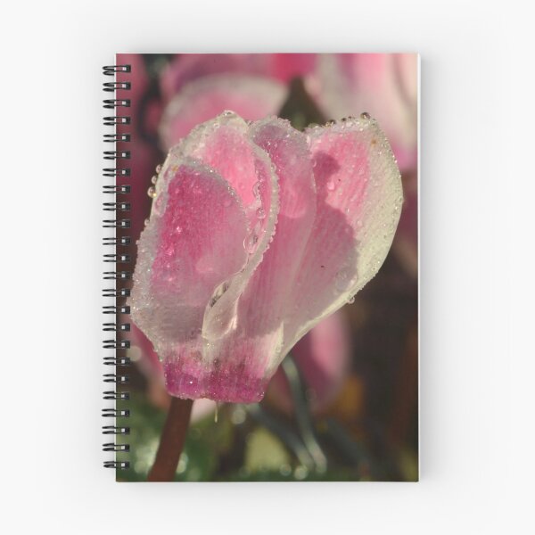 Aperçu de l'œuvre Cyclamen givré créée et vendue par Chris Monks.