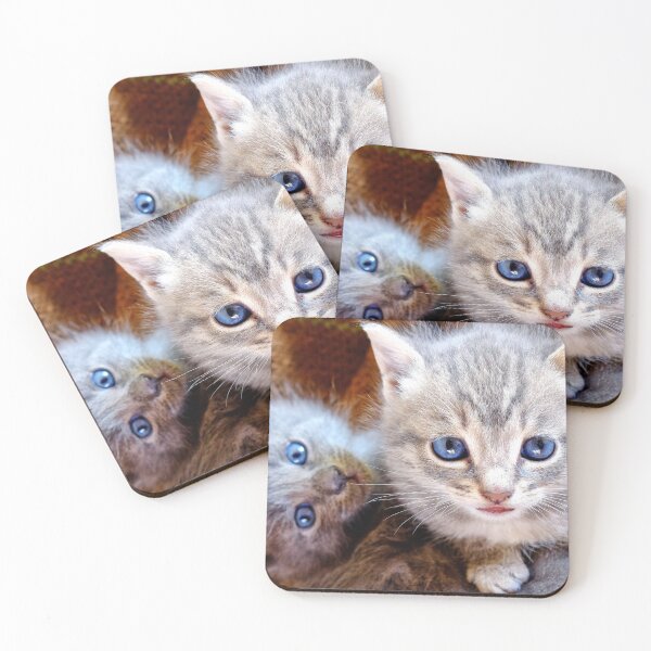 Item preview, Kittens designed and sold by troianifabrizio.
