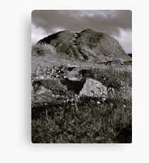The Doonie Hill Canvas Print
