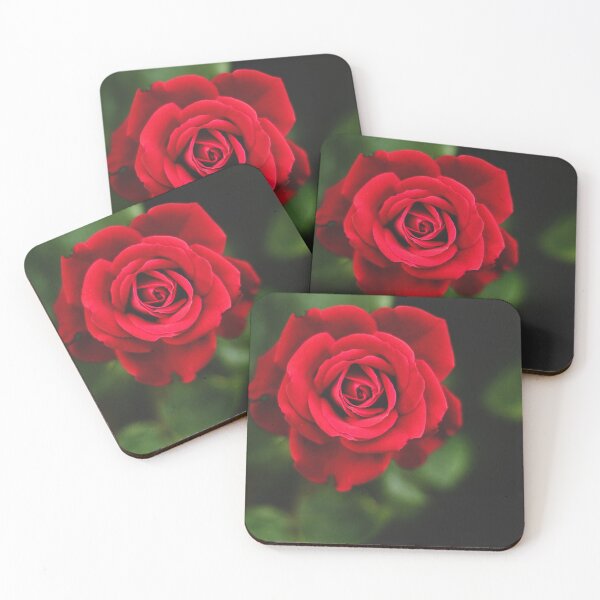 Item preview, Beautiful Red Rose Garden designed and sold by newburyboutique.