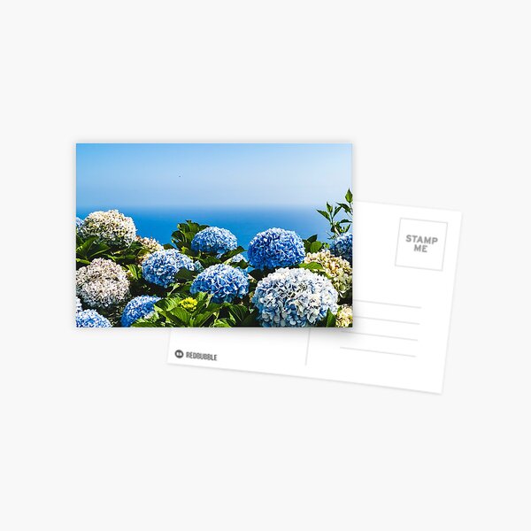 Item preview, Nantucket Blue Hydrangea Flowers designed and sold by newburyboutique.