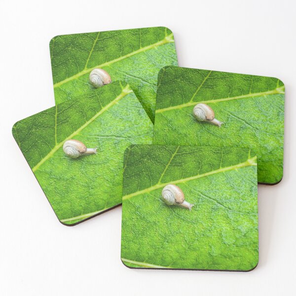 Item preview, Just a snail designed and sold by RW Jemmett.