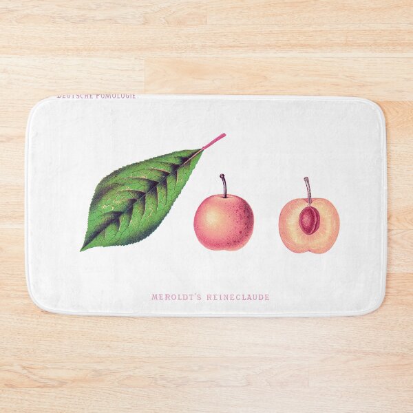Item preview, German Stone Fruit Golden Plum old illustration Print designed and sold by simpson92.