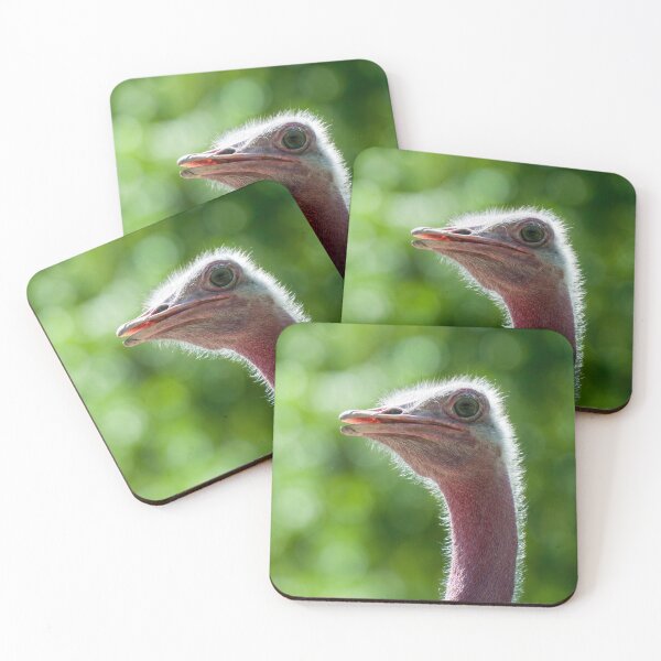 Item preview, Ostrich portrait designed and sold by Martin Langer.