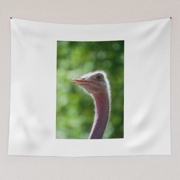Item preview, Ostrich portrait designed and sold by Martin Langer.