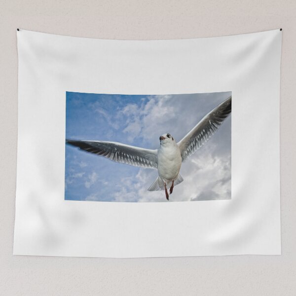 Item preview, The seagull shines silver designed and sold by Martin Langer.