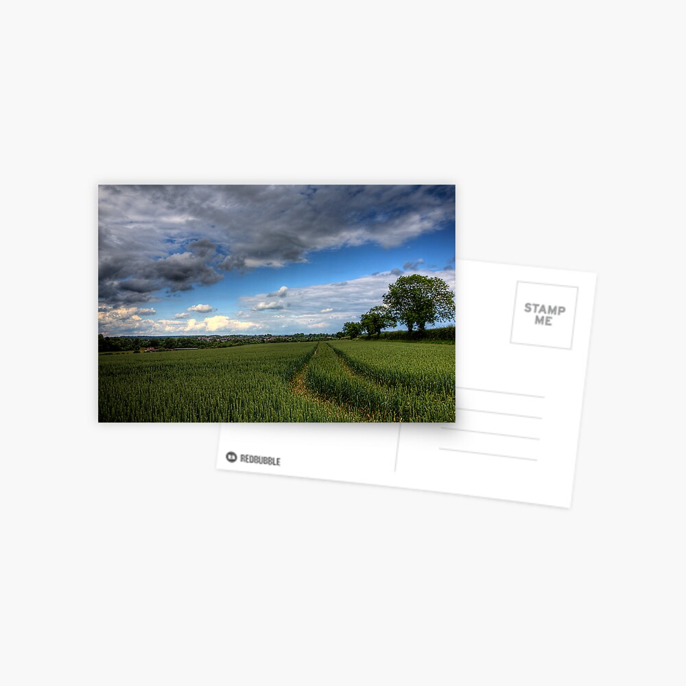 Barley in Winchester Postcard