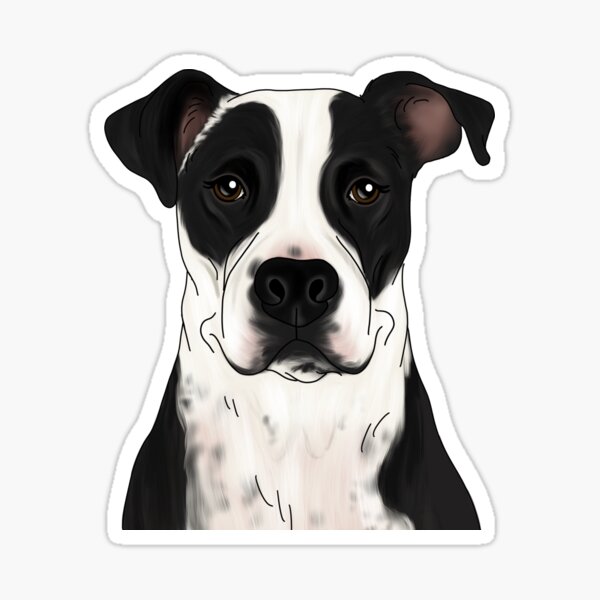 Item preview, Black & White Pit Bull designed and sold by ktscanvases.