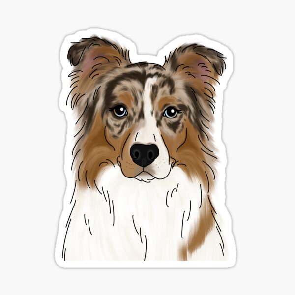 Item preview, Copy of Brown & White Australian Shepherd designed and sold by ktscanvases.