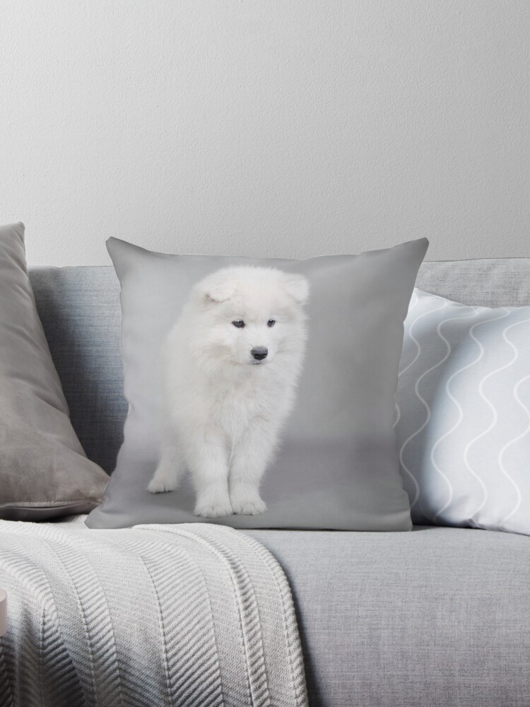 Samoyed pillow sales