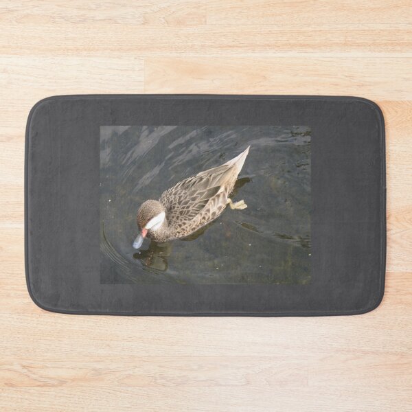 Item preview, White Cheeked Pintail Duck Photograph designed and sold by naturegallery.