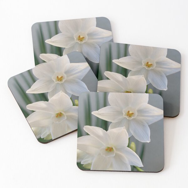 Item preview, First Paperwhites 2019 designed and sold by Douglas E. Welch Design and Photography.