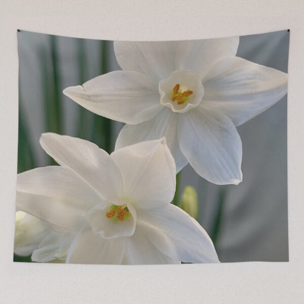 Item preview, First Paperwhites 2019 designed and sold by Douglas E. Welch Design and Photography.