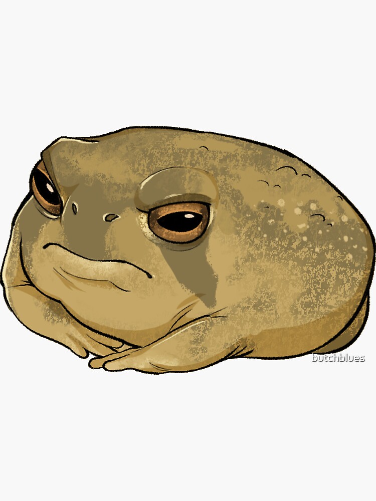 Angry Rain Frog by butchblues