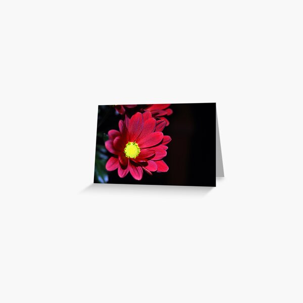Out of the shadows Greeting Card