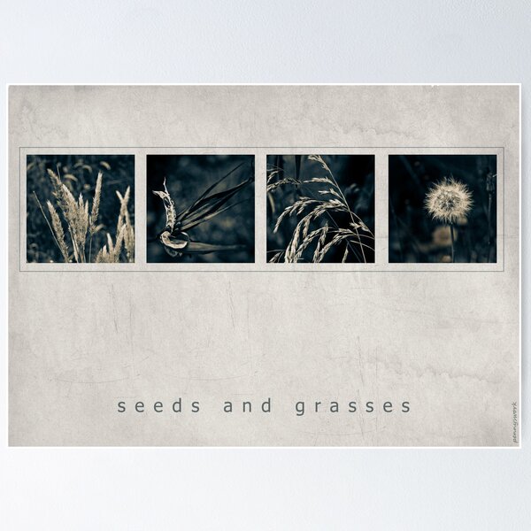 Item preview, Seeds and Grasses designed and sold by pennyswork.