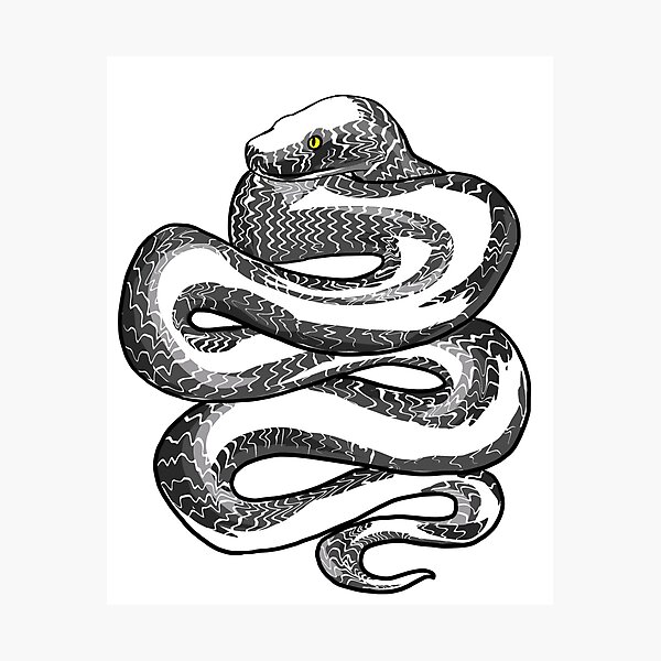 Item preview, python designed and sold by emmakayleigh.