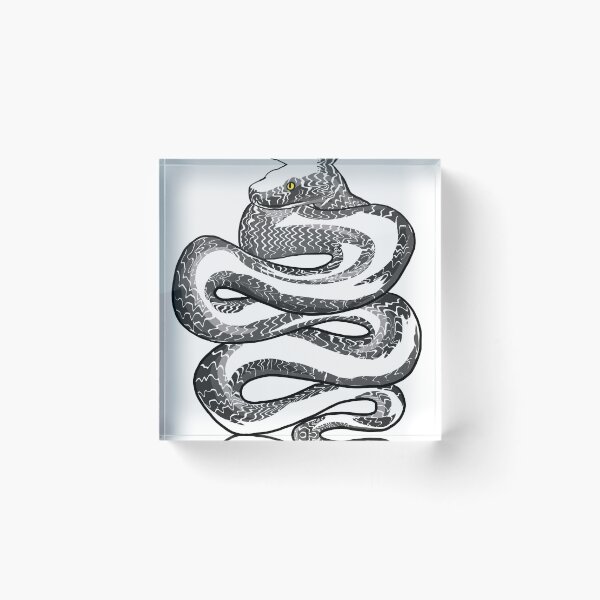 Item preview, python designed and sold by emmakayleigh.