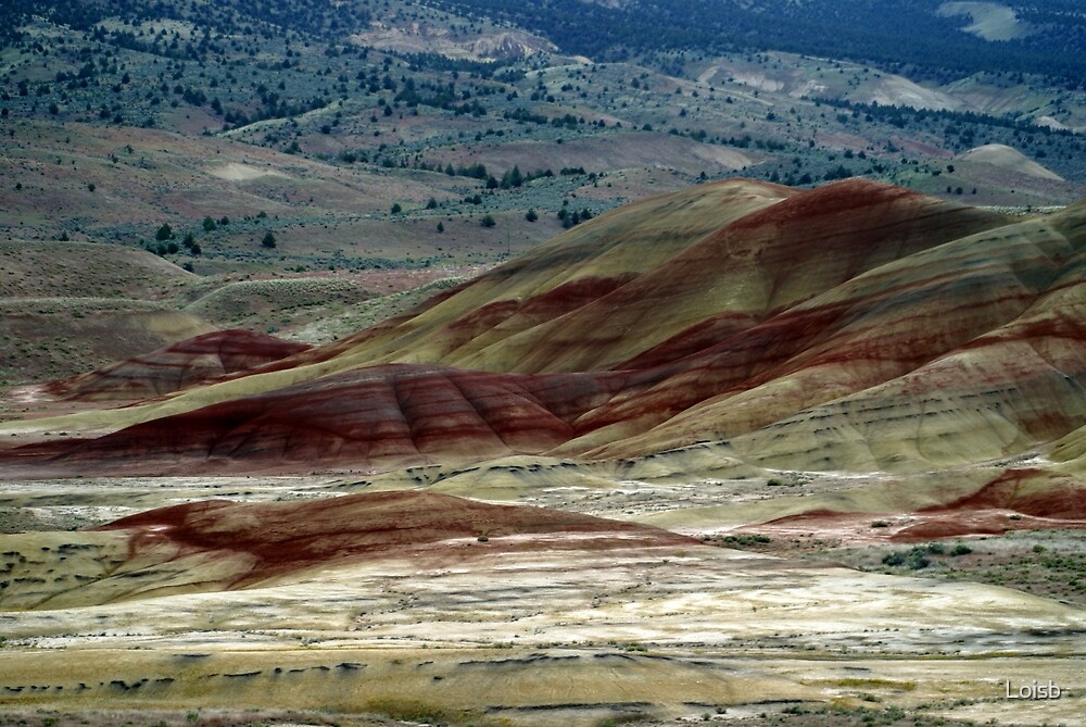 "John Day Fossil Beds National Monument" by Loisb Redbubble