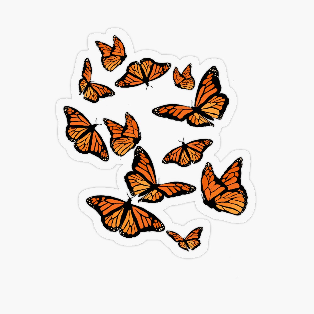 Monarch Butterflies  Photographic Print for Sale by Sophrizzo