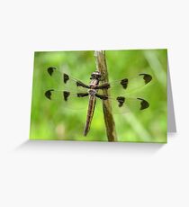 Beauty and Elegance. Greeting Card