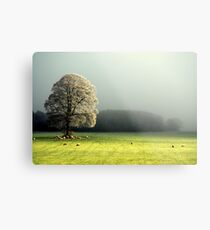 "LIGHT THROUGH THE MIST" Metal Print