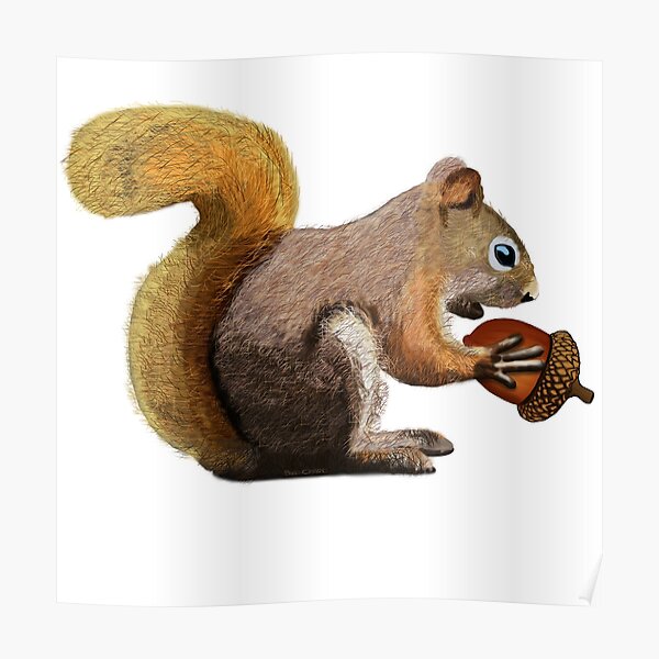 Squirrel with Acorn Poster