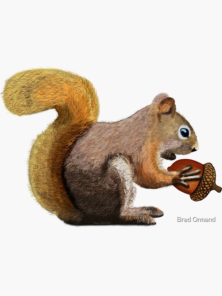 Squirrel with Acorn by BradOrmand